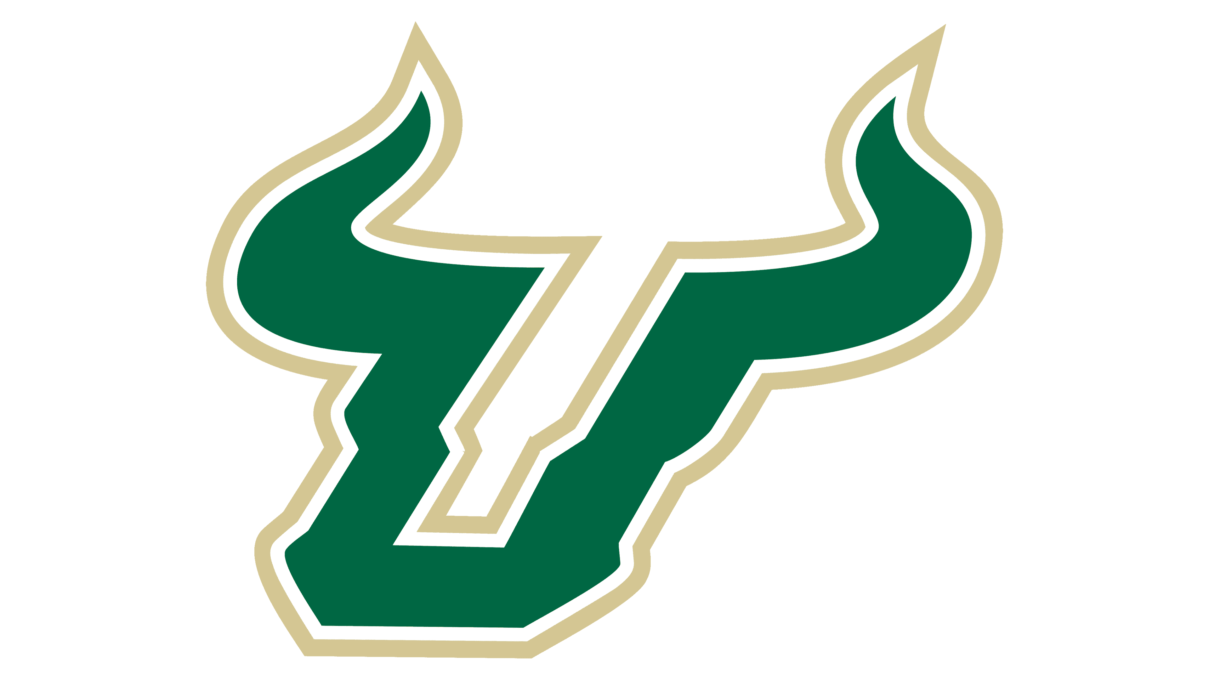 University of South Florida